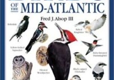 Birds of the Mid-Atlantic – Smithsonian Handbooks by Fred J. Alsop III