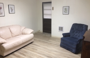 1 BR furnished apartment for rent