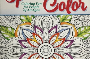 NEW Adult Coloring Books (Lot of 3)