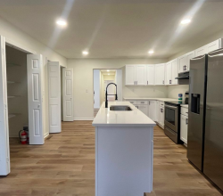 Apartments for Rent: All Newly Renovated!