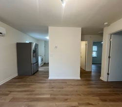 Apt for Rent: All Newly Renovated!